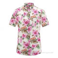 /msite/products/detail/productid/58841348/id/494329.html